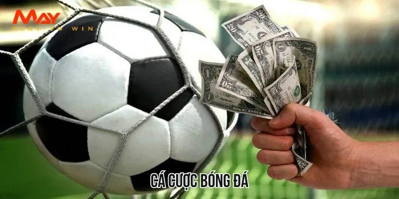 cá cược bóng đá