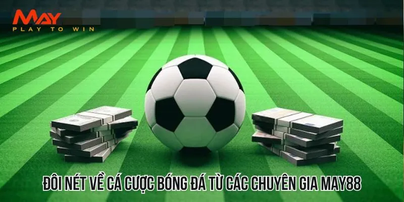 Đôi nét về cá cược bóng đá từ các chuyên gia MAY88