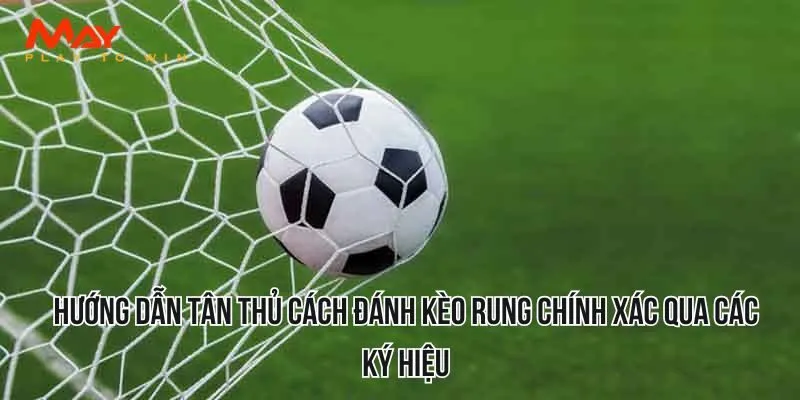 Hướng dẫn tân thủ cách đánh kèo rung chính xác qua các ký hiệu